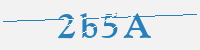 보안문자
